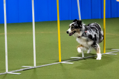 1-29-23-Kathy-Wagner-Seminar-370