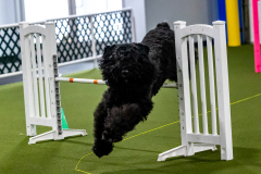 1-29-23-Kathy-Wagner-Seminar-378