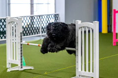 1-29-23-Kathy-Wagner-Seminar-379