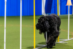 1-29-23-Kathy-Wagner-Seminar-387