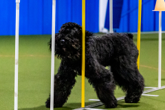 1-29-23-Kathy-Wagner-Seminar-388