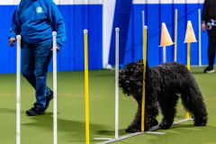 1-29-23-Kathy-Wagner-Seminar-392