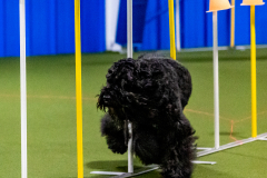 1-29-23-Kathy-Wagner-Seminar-393