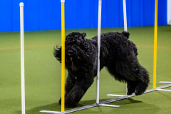 1-29-23-Kathy-Wagner-Seminar-395