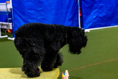 1-29-23-Kathy-Wagner-Seminar-398