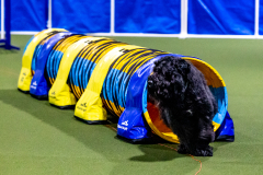 1-29-23-Kathy-Wagner-Seminar-399