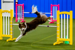 1-29-23-Kathy-Wagner-Seminar-406