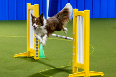 1-29-23-Kathy-Wagner-Seminar-408