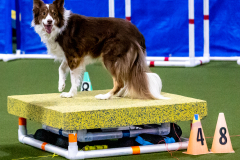 1-29-23-Kathy-Wagner-Seminar-409