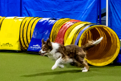 1-29-23-Kathy-Wagner-Seminar-411