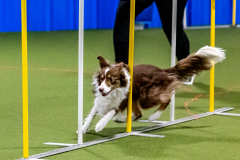 1-29-23-Kathy-Wagner-Seminar-413