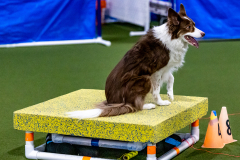 1-29-23-Kathy-Wagner-Seminar-417