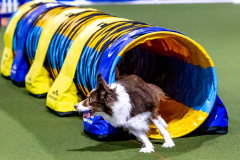 1-29-23-Kathy-Wagner-Seminar-418