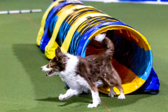 1-29-23-Kathy-Wagner-Seminar-419