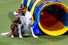 1-29-23-Kathy-Wagner-Seminar-420