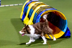 1-29-23-Kathy-Wagner-Seminar-421