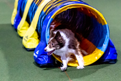 1-29-23-Kathy-Wagner-Seminar-422