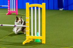 1-29-23-Kathy-Wagner-Seminar-432