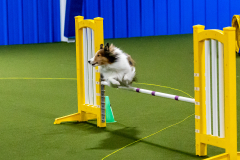 1-29-23-Kathy-Wagner-Seminar-436