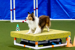 1-29-23-Kathy-Wagner-Seminar-437