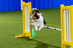 1-29-23-Kathy-Wagner-Seminar-440