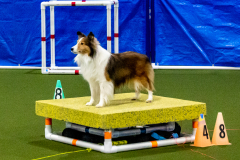 1-29-23-Kathy-Wagner-Seminar-441