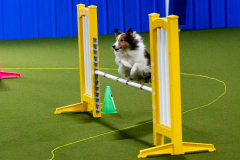 1-29-23-Kathy-Wagner-Seminar-444