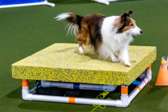 1-29-23-Kathy-Wagner-Seminar-452