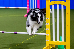 1-29-23-Kathy-Wagner-Seminar-499