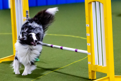 1-29-23-Kathy-Wagner-Seminar-500