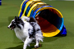 1-29-23-Kathy-Wagner-Seminar-515