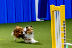 1-29-23-Kathy-Wagner-Seminar-522