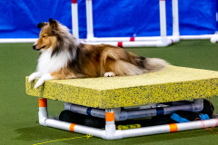 1-29-23-Kathy-Wagner-Seminar-525