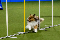 1-29-23-Kathy-Wagner-Seminar-532