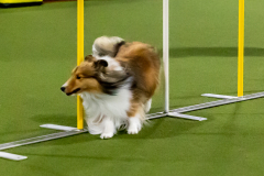 1-29-23-Kathy-Wagner-Seminar-533