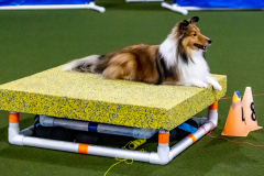 1-29-23-Kathy-Wagner-Seminar-536