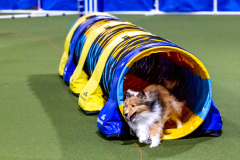 1-29-23-Kathy-Wagner-Seminar-537