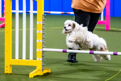 1-29-23-Kathy-Wagner-Seminar-544