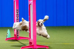 1-29-23-Kathy-Wagner-Seminar-546