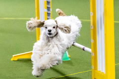 1-29-23-Kathy-Wagner-Seminar-547