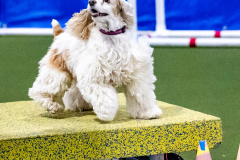 1-29-23-Kathy-Wagner-Seminar-548