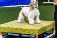 1-29-23-Kathy-Wagner-Seminar-553