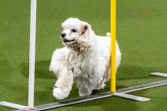 1-29-23-Kathy-Wagner-Seminar-564