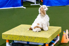 1-29-23-Kathy-Wagner-Seminar-565