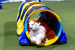 1-29-23-Kathy-Wagner-Seminar-568