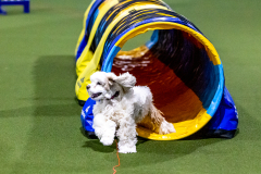 1-29-23-Kathy-Wagner-Seminar-569