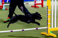 1-29-23-Kathy-Wagner-Seminar-575