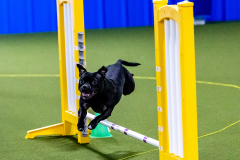 1-29-23-Kathy-Wagner-Seminar-577