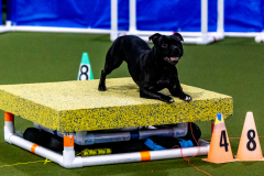 1-29-23-Kathy-Wagner-Seminar-578