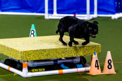 1-29-23-Kathy-Wagner-Seminar-579